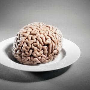 Ecco come agiscono nel cervello i nuovi farmaci orali contro l’obesità