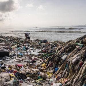 Il mare, il nostro amico fragile