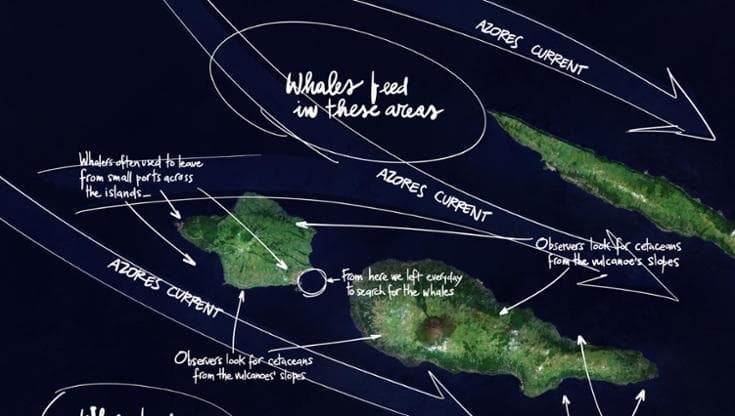 “Lungo la corrente”, il giro del mondo visto dai satelliti