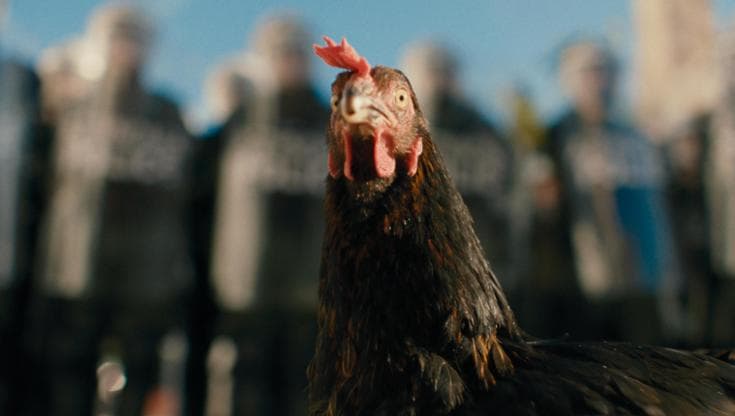 “Perché ho scelto una gallina per raccontare al cinema le disuguaglianze”