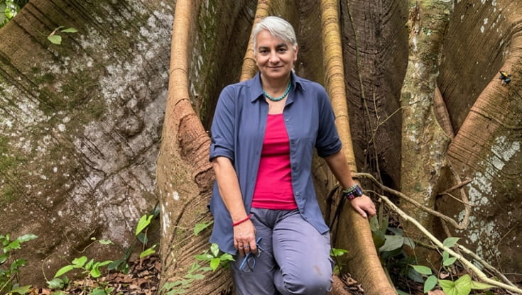 Maria Rita Gallozzi, presidente di Forest Stewardship Council (FSC) Italia