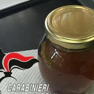Miele ‘da sballo’ o wax, che cos’è la droga che mette a rischio la vita dei ragazzi