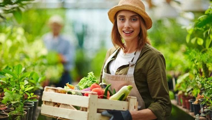 Agricoltura, solo il 4% degli imprenditori ha meno di 35 anni