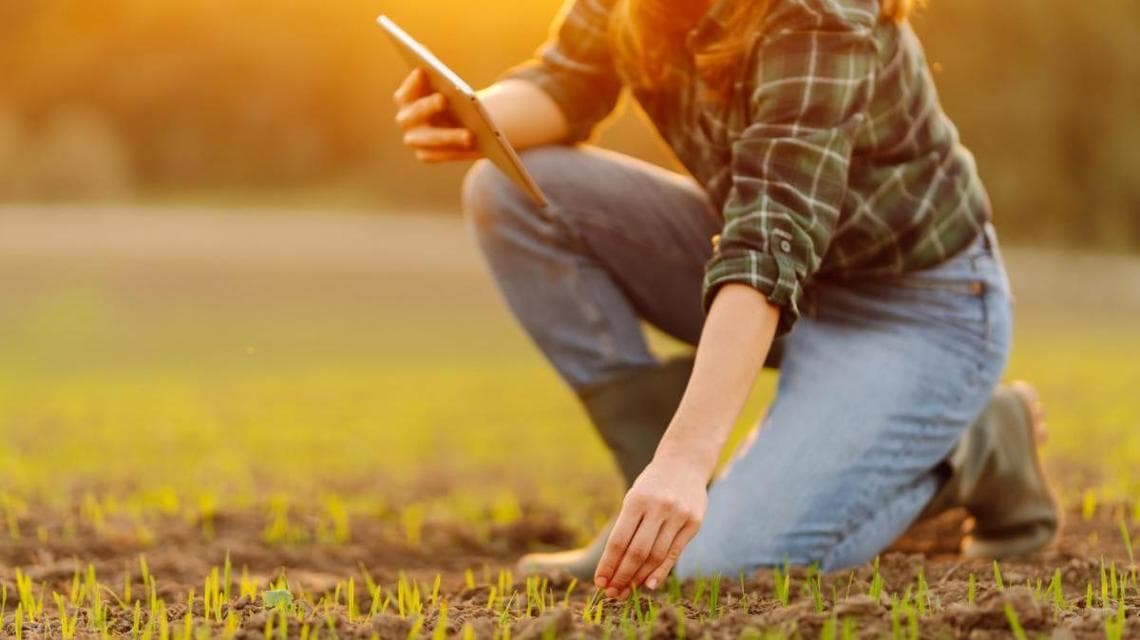 Le aziende gestite da under 35 sono più tecnologiche e più produttive