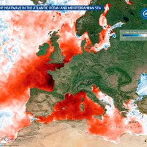 Ondata di calore marina su Atlantico e Mediterraneo: fino a 5 gradi superiori alla media