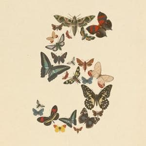 Anthropic apre al pubblico la sua arma più potente: arriva Claude Fable 5, IA della famiglia Mythos