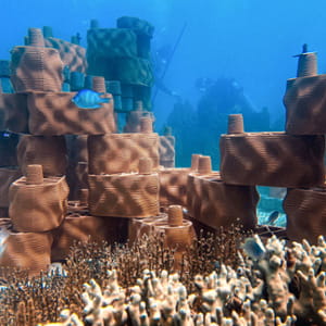 I mattoni stampati in 3D per ridare vita alle barriere coralline