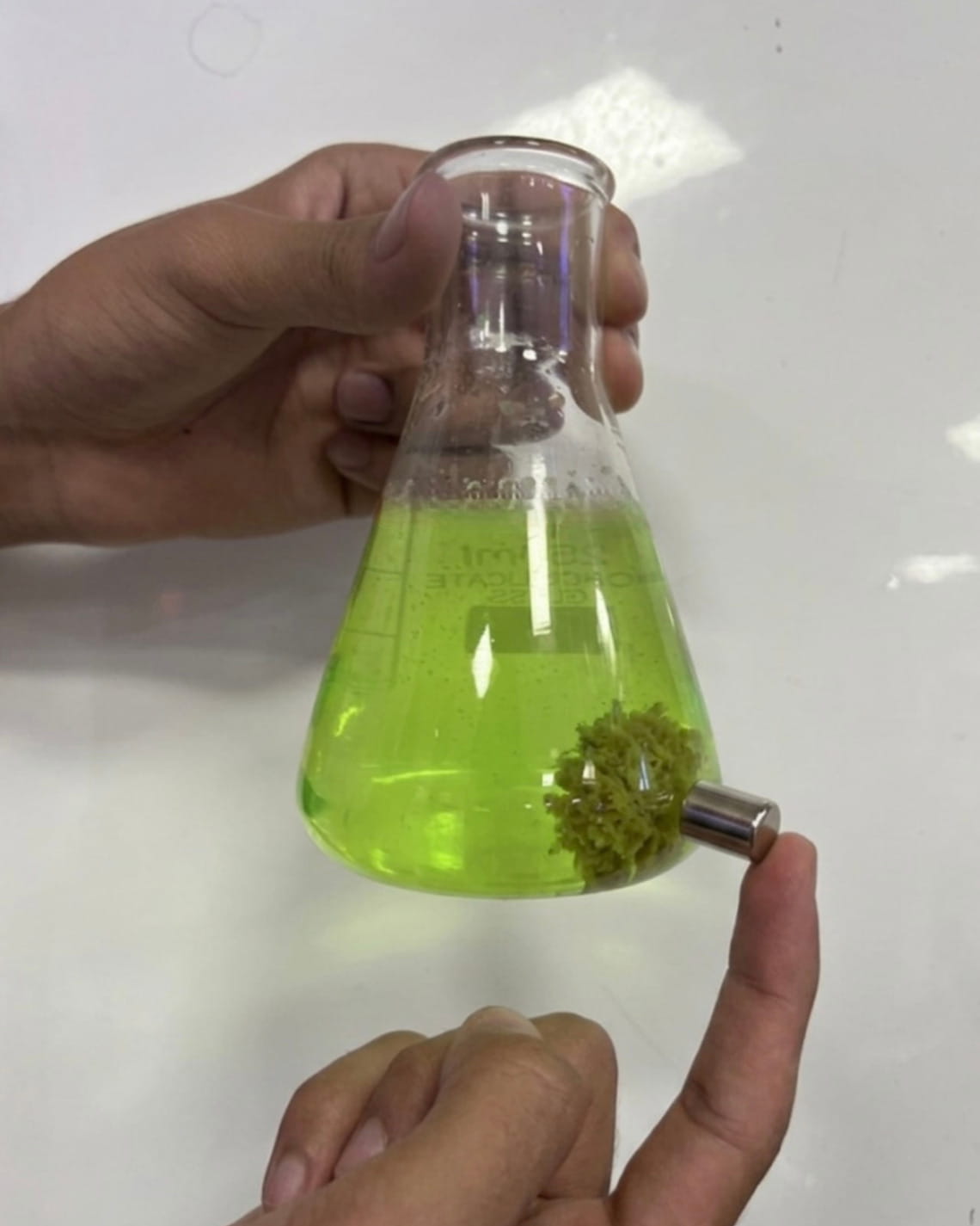 Plas-Stick, la polvere biodegradabile in grado di filtrare le microplastiche