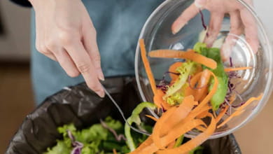 Scarti agroalimentari, sono milioni di tonnellate annue in Italia, ma il 70% non viene convertito