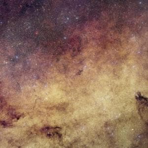 Euclid fotografa il cuore della Via Lattea: oltre 60 milioni di stelle