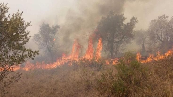 Un rogo scoppiato tra le sterpaglie all'interno di un bosco in Maremma