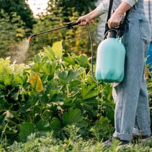 Glifosato, dopo la sentenza su Bayer che cosa sappiamo sui rischi per la salute