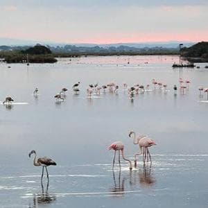 Aree protette: scoppia il caso dei tagli dal Ministero dell’Ambiente