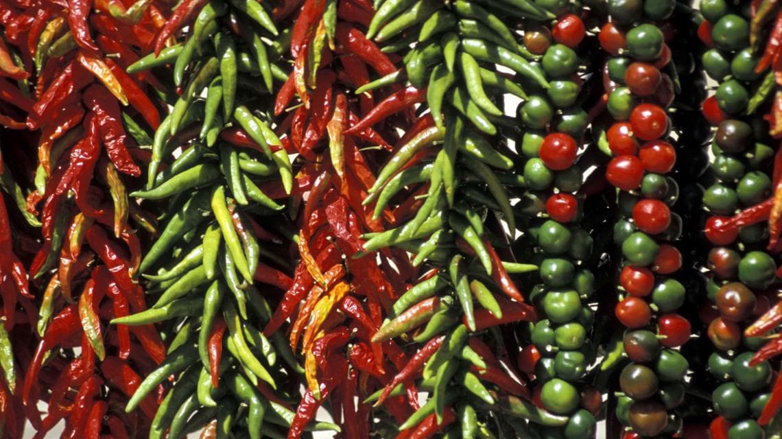 Il peperoncino di Diamante