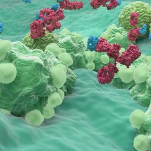 Tumore ovarico, arriva una nuova terapia mirata