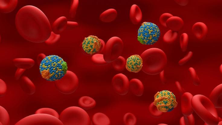 Colesterolo, c’è un nuovo valore del sangue che ‘segnala’ chi è più a rischio infarto e ictus