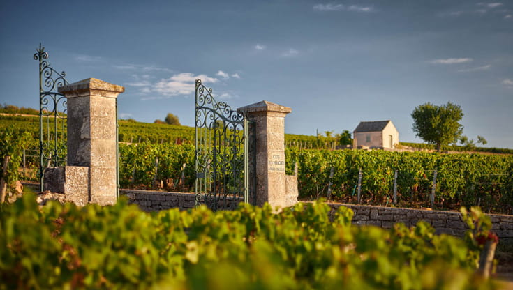 Tenuta Joseph Drouhin. © Serge Chapuis/Joseph Drouhin