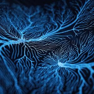 Epilessia resistente ai farmaci, un aiuto dal microbiota