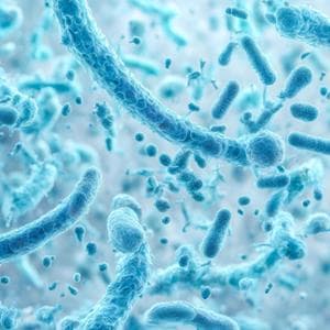 Diabete, il microbiota intestinale lo prevede con anni di anticipo