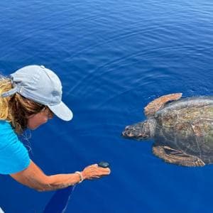 Dalla Posidonia oceanica alle tartarughe marine: le azioni concrete per proteggere il Mediterraneo