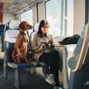 In vacanza con il 4 zampe: percorsi con Ita inaccessibili per i costi. Nave e treno ok