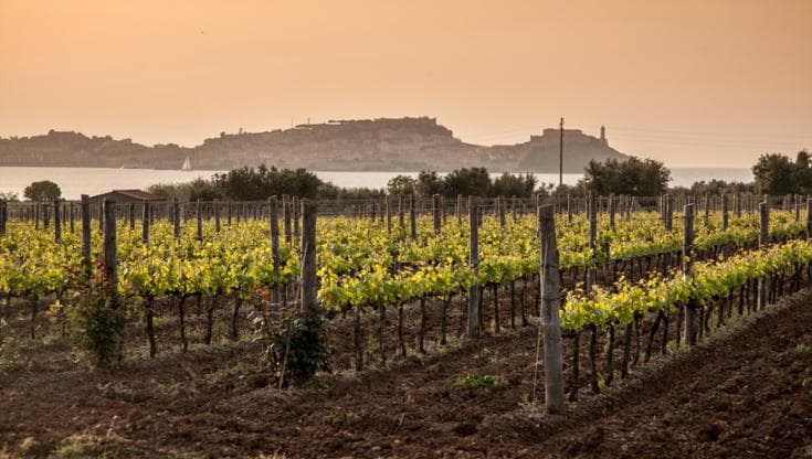 Il respiro del vino nelle piccole isole d’Italia