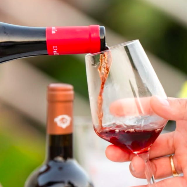 Calabria meravigliosa tra due mari: 10 vini per raccontarla