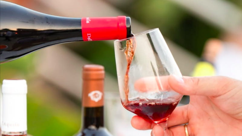 Calabria meravigliosa tra due mari: 10 vini per raccontarla