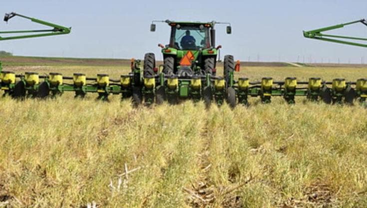 Una dieta globale più sana potrebbe ridurre le emissioni agricole dell'85%