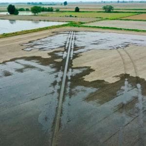 Il caldo intenso mette a rischio la produzione globale di riso