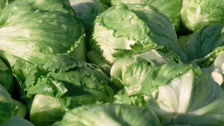 Ciclosporiasi negli Usa, due morti per l'insalata contaminata. Cos'è e a cosa bisogna stare attenti