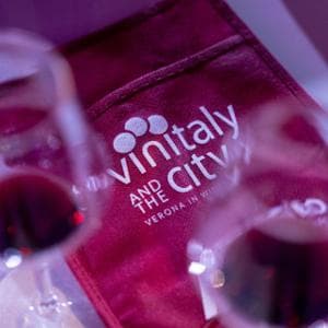 Il futuro di Vinitaly? Diventare una vetrina per tutto il Paese