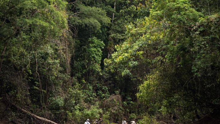 Unesco, grazie alle riserve della Biosfera protetti 7 mila chilometri quadrati di Amazzonia
