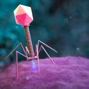 L’IA ha progettato nuovi virus. È meno pericoloso di quanto sembra