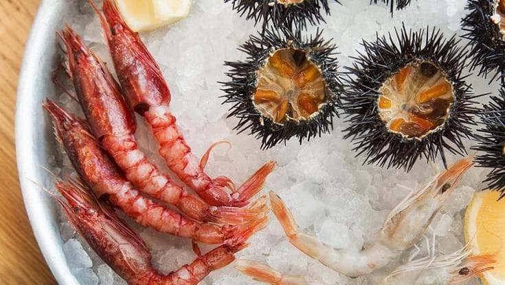 Il pesce crudo può provocare infezioni intestinali