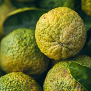 Gerace, la Calabria più segreta si mangia nella Locride