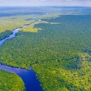 El Niño ridisegna il clima del pianeta. L’Amazzonia è il punto più fragile