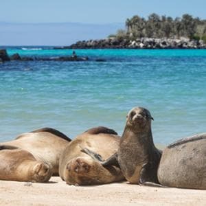 Microplastiche, dalle Galápagos all’Amazzonia: l’inquinamento è ovunque