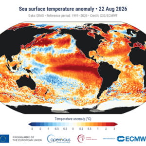 Copernicus: la temperatura media giornaliera della superficie del mare batte il record 2024