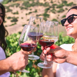 In Sicilia per la prima volta una cantina autorizzata a produrre vini dealcolati