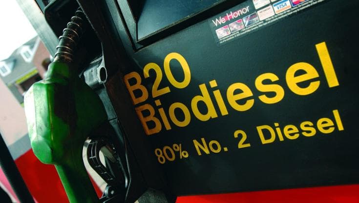 Cinque materie prime per un biodiesel davvero pulito 133701412 6343c41e 59dd 4681 ba6f a0d2d1ec8e5a