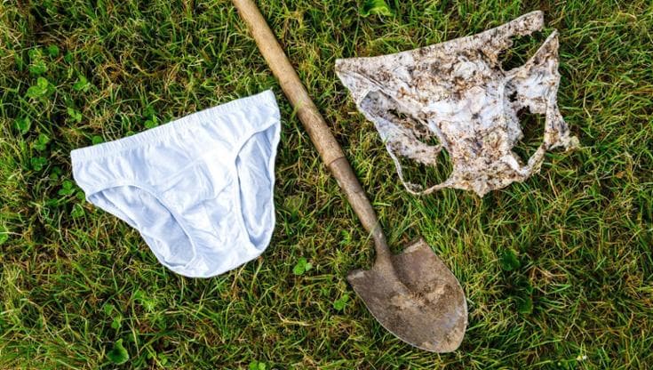 IgNobel 2026: cosa non ci si inventa per aiutare l’ambiente. Ecco chi sono i vincitori 185453750 d9e12bfd a87b 4376 b8d6 ecc76d796055
