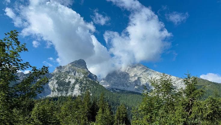 Le montagne europee stanno perdendo le loro piante d’alta quota 190257677 51aad868 dfc7 45f8 b03a 4e737a57e8b1