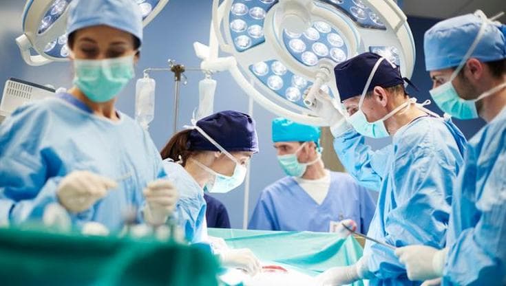 Xenotrapianti, un uomo con diabete vive 9 mesi con rene di maiale prima del trapianto umano