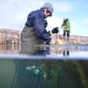 Plastica nell'Artico: un nuovo habitat per i microbi