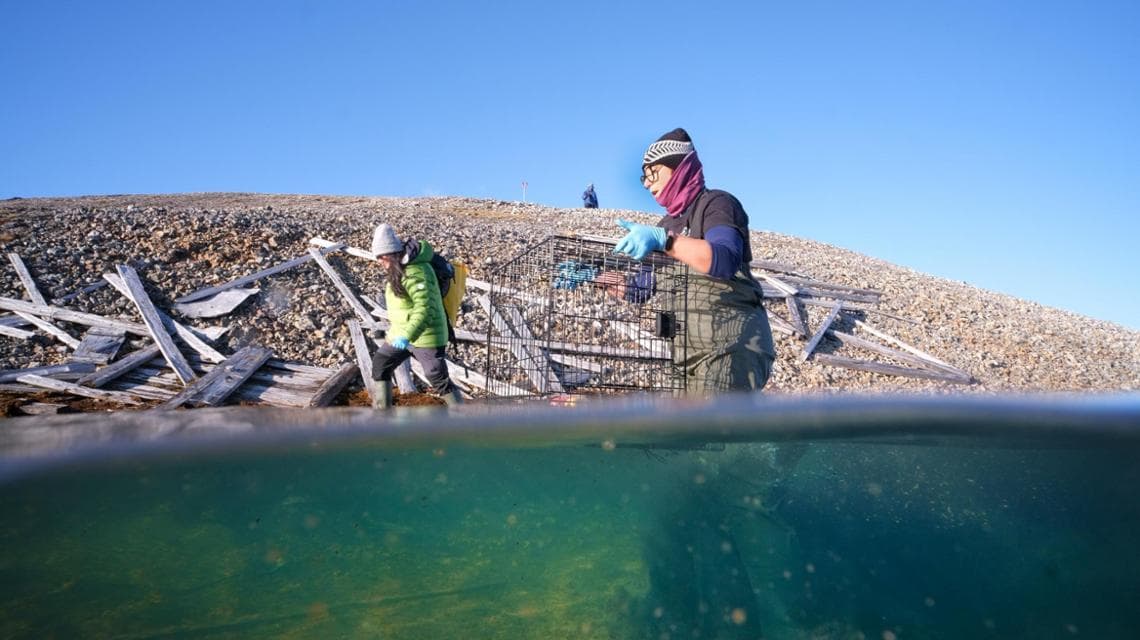 Sul campo le scienziate seguono un protocollo preciso per non contaminare i campioni, preservarli, e poi studiarli nella sede dell’ISP-CNR di Messina. (foto: Jacopo Pasotti - @jacopaso)