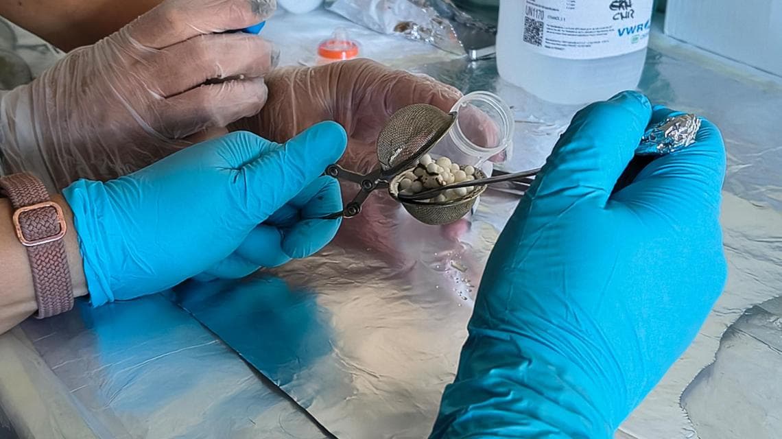 "Ci siamo concentrate su plastiche molto comuni: polistirene, polietilene ed una plastica biodegradabile. Sono plastiche che compongono quasi ogni oggetto che ci circonda, dalle bottiglie di plastica agli indumenti", chiarisce Carmen Rizzo. (foto: Jacopo Pasotti - @jacopaso)