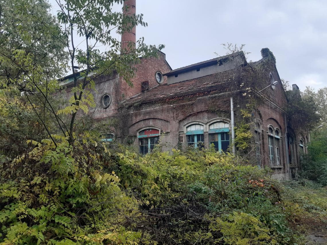 Vegetazione spontanea in un sito post-industriale: la foresta urbana