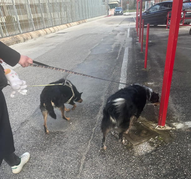 Plinio e Lilli mentre arrivano al carcere di Spoleto