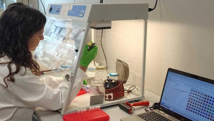 Analisi biomolecolari per lo studio del DNA in campioni ambientali